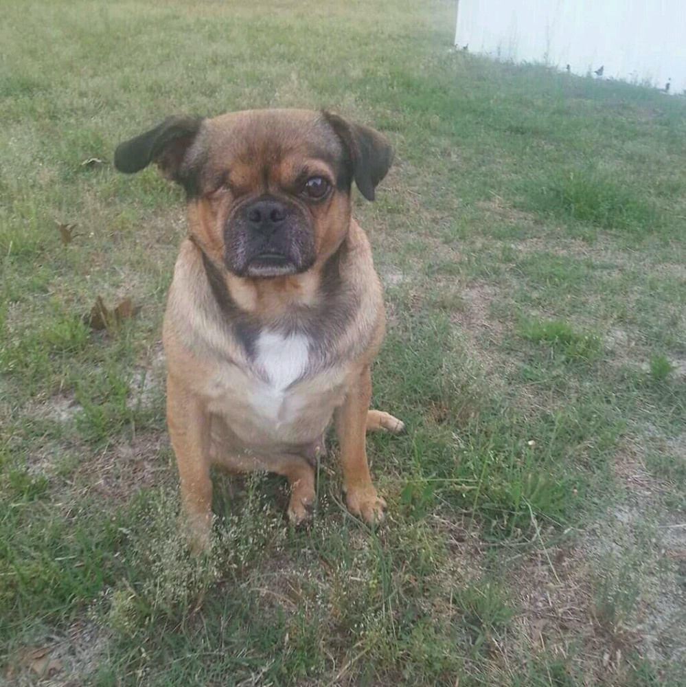 Meet your Posher, Christy